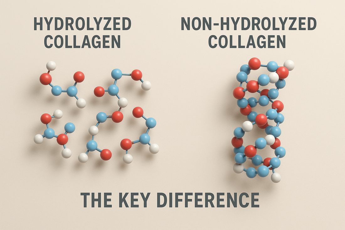 Why Hydrolyzed Collagen Is Superior to Non-Hydrolyzed – Understanding Collagen Types and Absorption